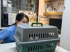 -御宝贝·A梦猫科宠物医院(国际猫友好医院)