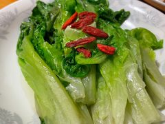 白灼生菜-金鼎轩(亚运村店)