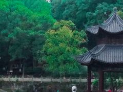 -忠山公园