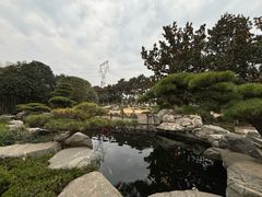 -中国唐苑