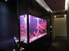 -大唐盲人按摩中心(天山路店)