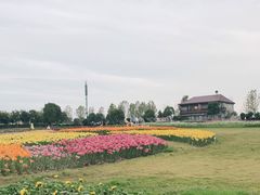-花博汇(知音花月夜)