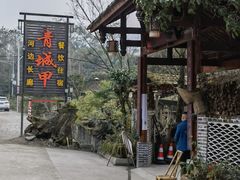 -青城甲(青城山店)
