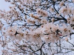 -颐和园