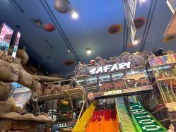 点击看大图 -卡通尼·Safari非洲探索乐园·生日会(金桥国际商业广场店)