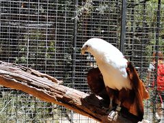 -费瑟代尔野生动物园