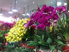 -双季花艺园艺市场(浦东店)