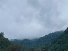 -凤凰山国家森林公园
