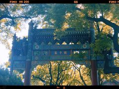 -北京国子监胡同