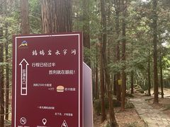 -四明山国家森林公园