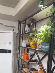 -冰岛刺青·手工耳饰品售卖·专业纹身