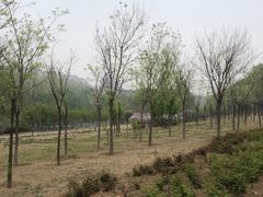 -马家湾湿地公园