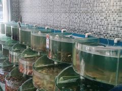 水产区-仙螺岛海鲜自助餐厅(总店)