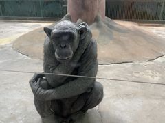 -石家庄市动物园