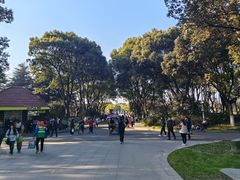 -昆山城市生态森林公园