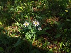 -长春公园(普阳街道)