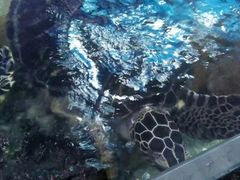 -鸿通城购物中心