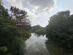 -梁鸿国家湿地公园