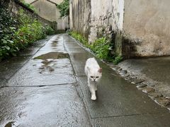 -西溪南古村落景区