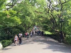 -苏堤停车场