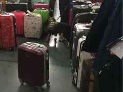 -吴淞口国际邮轮码头-停车场