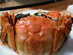 阳澄湖大闸蟹-诗王蟹业(渔家灯火店)