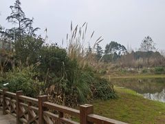 -桤木河湿地公园