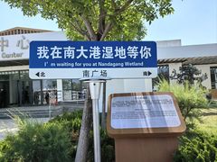 -南大港湿地风景区