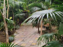 -呀路古热带植物园