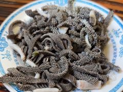-老爆肚满五香烧牛羊肉