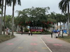 -南宁花花大世界景区