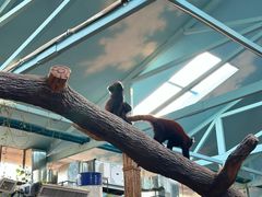 -辛玛王国游乐园