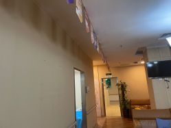 -东莞台心医院-医疗美容