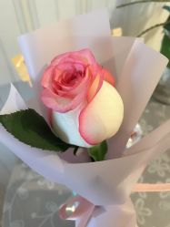 -杰爱月子护理中心