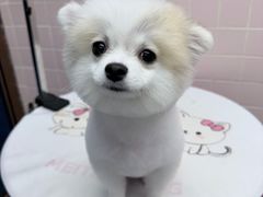 -FAELING PETS美天灵宠物(富力广场店)