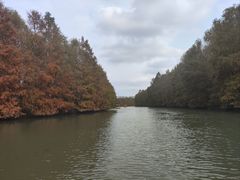 -上海海湾国家森林公园