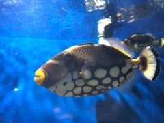 -福州罗源湾海洋世界旅游区