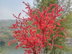 -龙潭生态旅游度假区