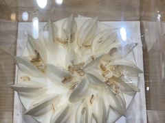 -多乐之日(华贸天地店)