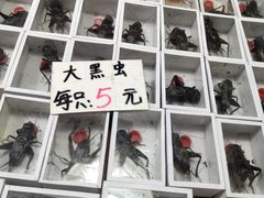 -万商花鸟市场