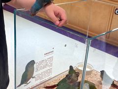 -帕帕拉兹宠物(亚洲旗舰店)