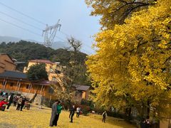 -永州阳明山国家森林公园