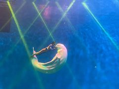 -芜湖新华联大白鲸海洋公园