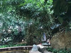 -秦皇岛阿尔卡迪亚滨海度假酒店