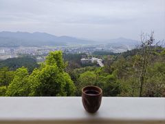 -庐山风景名胜区-东林大佛