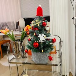 -乐橙肌愈·屏障修护专研所