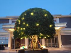 -成都安仁福朋喜来登酒店