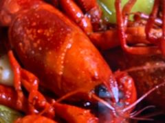 -杨氏青龙虾·羊蝎子(托乐嘉店)