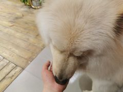 -肆兮眼镜·蔡司·徕卡战略合作店(大坪店)
