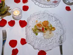 -蝶舍·MAISON PAPILLON